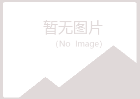 安图县倾城计算机有限公司